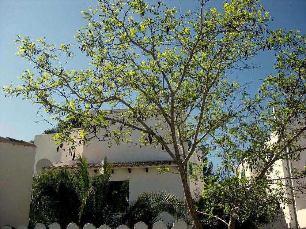 Casa Ceiba Maria Ξενοδοχείο Cala D´Or Εξωτερικό φωτογραφία
